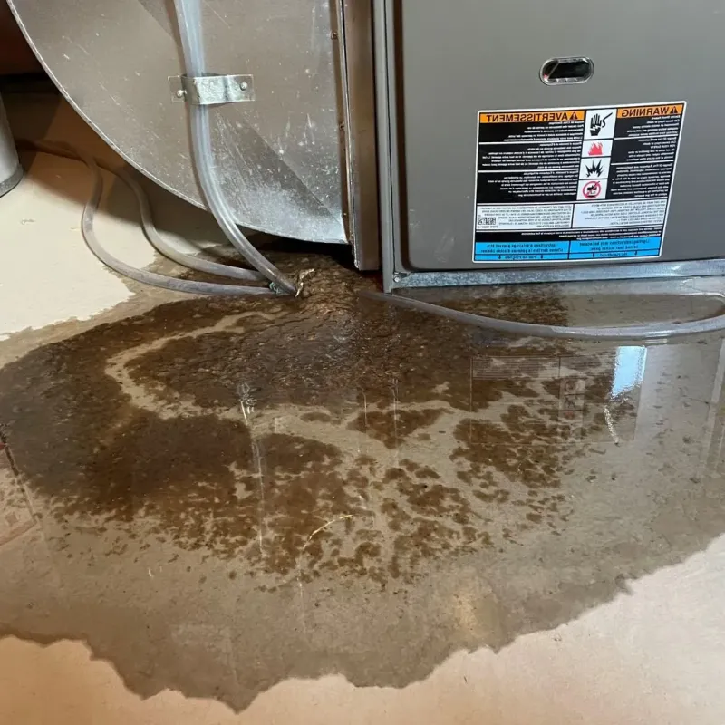 Pipe Burst and Leak Restoration in Pembroke, NH