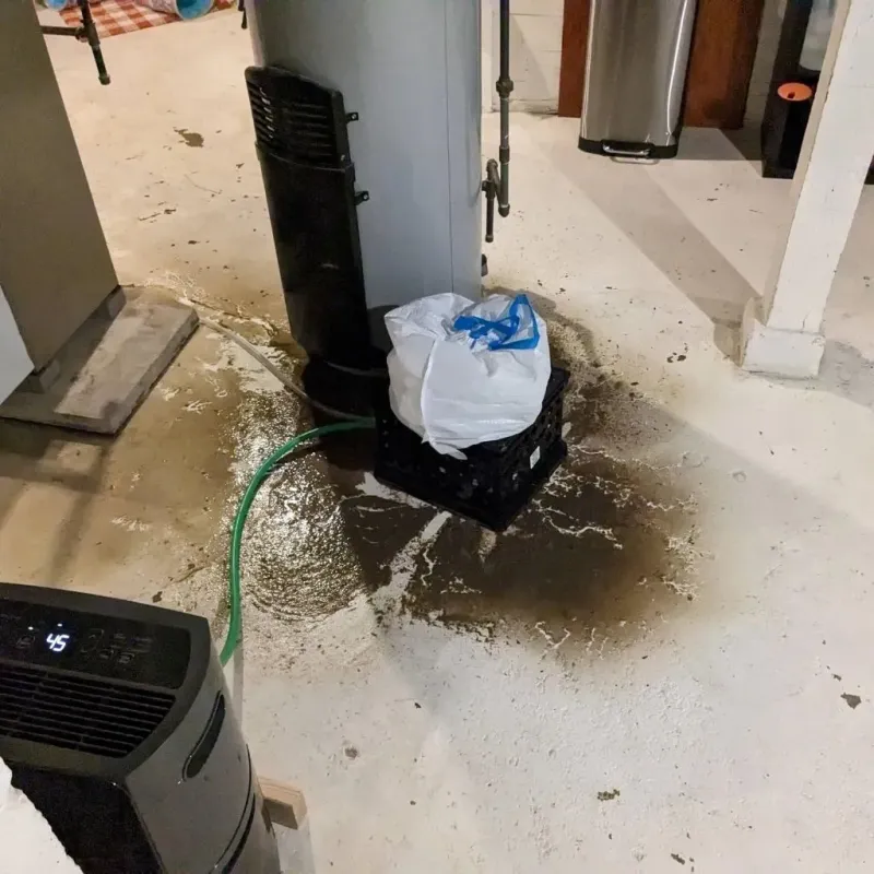 Sewage Backup Cleanup Service in Pembroke, NH